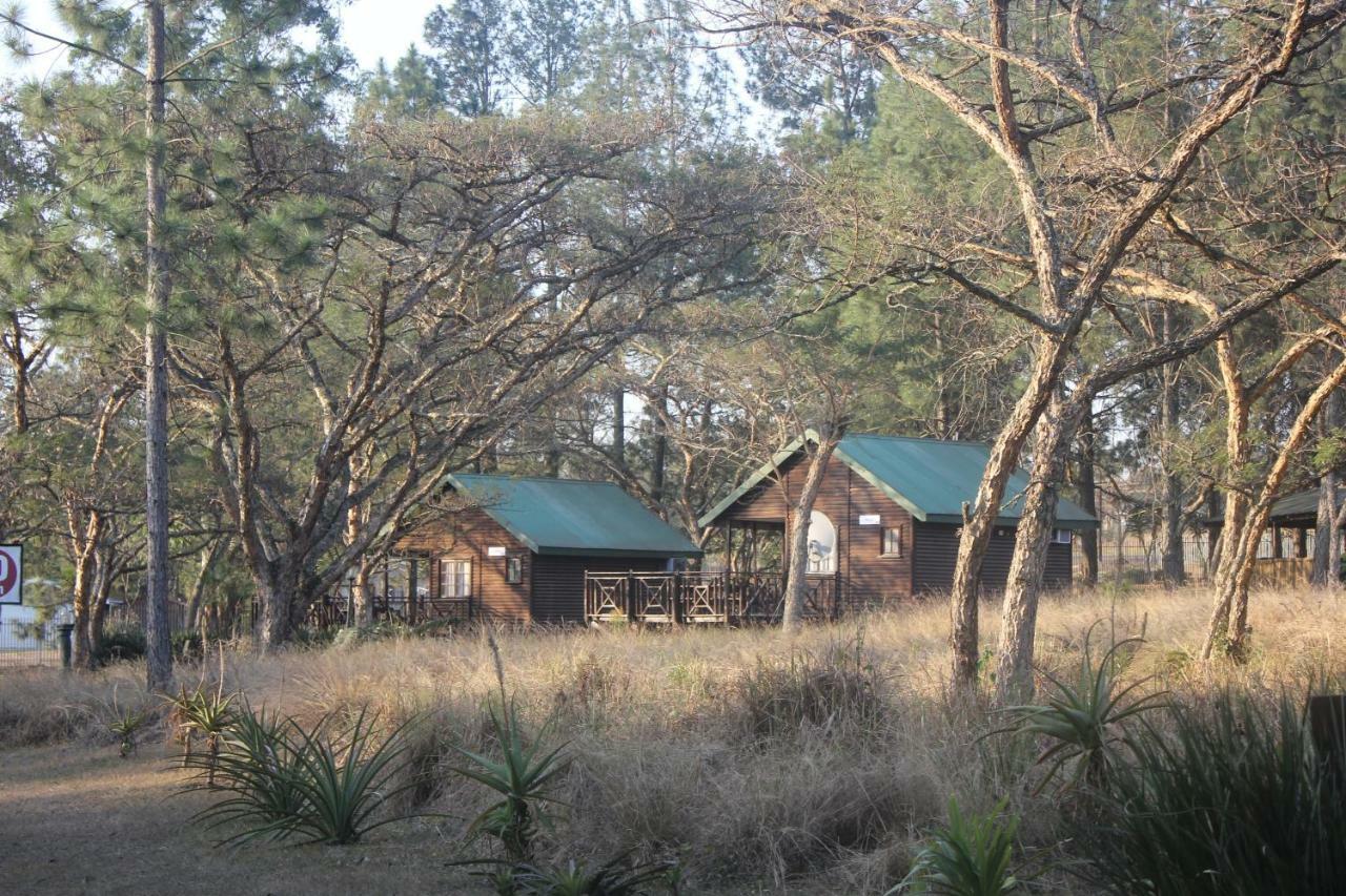 Acacia Bush Lodge 피터마리츠버그 외부 사진